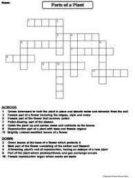Must contain at least 4 different symbols; Plant Part Crossword Clue 4 Letters