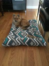 4.7 out of 5 stars. Cats Sleeping In Dog Beds Shefalitayal