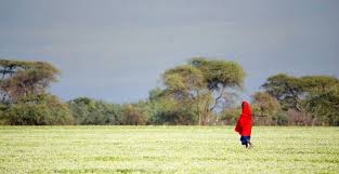 They may be hidden or invisible in many large cities around the world and in some cases indigenous peoples live in a. International Day Of The World S Indigenous Peoples 2020 Intra