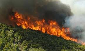 Πυρκαγιά ξέσπασε σε δασική περιοχή στους βουρλιώτες της σάμου. Samos Megalh Fwtia Se Dasikh Ektash