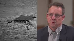 Questions remain about CPW's abrupt change in leadership