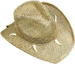 Pin On Vbs Costume Ideas