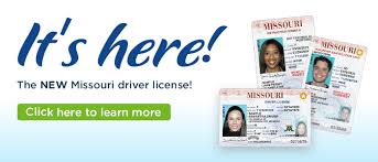Check spelling or type a new query. Driver Licensing