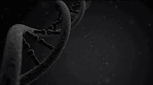 Welcome to free wallpaper and background picture community. Dna Gif Hd 2019 Gifler Resimler