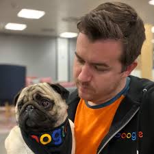 Meet Matt, Dave, Winston & Buddy