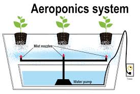 Types Of Hydroponics System Wick System Ebb Flow System Water Culture System N F T System Aeroponic System Aeroponic System Hydroponics System Aeroponics