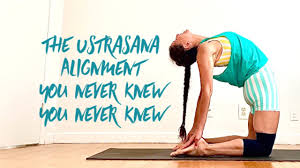 Dwi Pada Viparita Dandasana Two Legged Inverted Staff Pose With Shana Meyerson Yogathletica Youtube