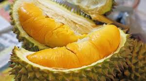 Gambar rumput rambatan (mikania micrantha). 9 Efek Samping Menyantap Durian Dari Diabetes Hingga Bisa Memicu Kematian Bangka Pos