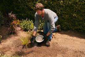 Omas rezept gegen stechmücken war immer das laub von. Tipps Fur Den Garten Planen Und Anlegen Stihl
