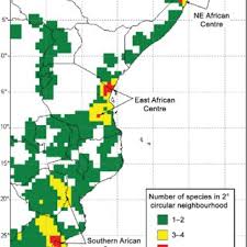 Image result for Cryptolepis hypoglauca