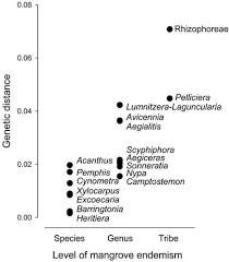 Image result for Strephonema mannii