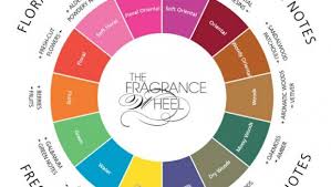 Fragrance Families Www Theperfumeexpert Com
