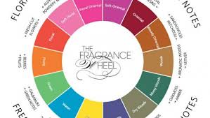 fragrance families www theperfumeexpert com