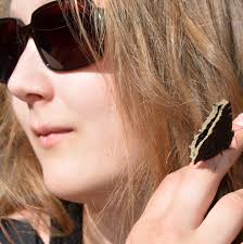 Hostels in Sighnaghi from 6 GEL/Night 🤑