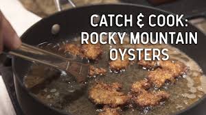Rocky mountains oysters are true delicacies of the american west. Catch And Cook Rocky Mountain Oysters Youtube