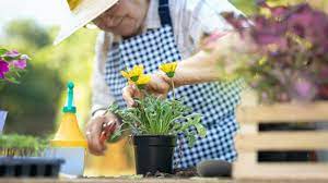 Adapted gardening tools can make gardening easier for seniors, the disabled, and arthritis sufferers. The 10 Best Gardening Tools For Seniors Seniors Guide