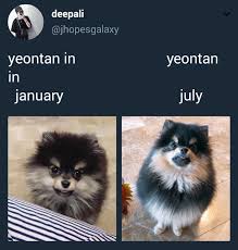 Jh · jm's profile picture. Yeontan Before And After Bts Taehyung Ph Facebook