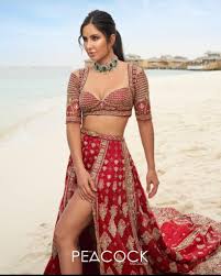Katrina Kaif in Indian wear, an ...