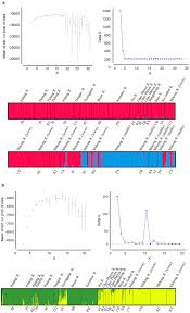 Pep publications sdn bhd was incorporated on march 31, 2008. Genetic Diversity Of The Tire Track Eel Mastacembelus Favus In Southeast Asia Inferred From Microsatellite Markers Springerlink