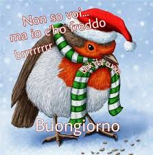 Pin Di Sonia Radici Su Misto Fritto Nel 2020 Buongiorno Divertente Buongiorno Divertente