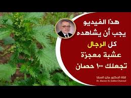 علاج دوالى ااساقين دكتور مازن السقا. Ù‡Ø°Ø§ Ø§Ù„ÙÙŠØ¯ÙŠÙˆ ÙŠØ¬Ø¨ Ø£Ù† ÙŠØ´Ø§Ù‡Ø¯Ù‡ ÙƒÙ„ Ø§Ù„Ø±Ø¬Ø§Ù„ Ø®ØµÙˆØ¨Ø© Ø£ÙØ¶Ù„ Ø¨Ø´ÙƒÙ„ Ø·Ø¨ÙŠØ¹ÙŠ ÙˆØ¨Ø¯ÙˆÙ† Ø£Ø¯ÙˆÙŠØ© Ø£ÙØ¶Ù„ Ù…Ø§Ø¯Ø© ØªØ²ÙŠØ¯ Ù‚Ø¯Ø±Ø© Ø§Ù„Ø±Ø¬Ù„ Ø­Ø§Ù„Ø§ Youtube