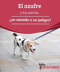Pin En Consejos