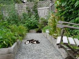 Paper Mulch 3 X 50 Under Gravel Path No To Landscape Fabric Landscape Fabric Mulch Alternatives Vegetable Garden
