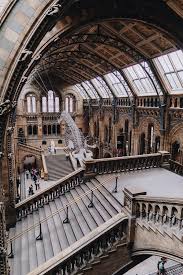 We did not find results for: First Time At The Natural History Museum Art History History Museum History Painting