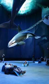 Fish Stories 7 More Amazing Public Aquariums Webecoist Public Aquarium Aquarium Architecture Museum Exhibition Design