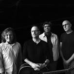 Gin Blossoms