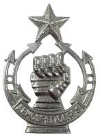 The Regular Cavalry Regiments of the ...