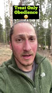 Why Does My Dog Only Listen When I Have Treats