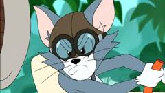 The tom and jerry show. Tom And Jerry The Fast And The Furry 2005 Video Detective