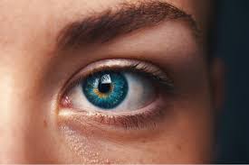 We did not find results for: Halloween Eye Safety Resource Center Milan Eye Center