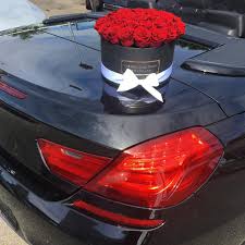76 Mentions J Aime 2 Commentaires The Prestige Roses Switzerland Theprestigerosesswitzerland Sur Instagram Schone Morgen Zusammen Wir Lieben Immer
