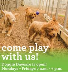 Pet resorts of america dog grooming, boarding kennels, franklin brentwood brentwood nashville tn welcome to pet resorts of the staff at pet resorts of america would like to welcome you! Pet Resorts Of America Reservations Are Needed For Pups Playing For Their First Time Or If It Has Been Over A Year Give Us A Call To Schedule 615 915 3062 Facebook