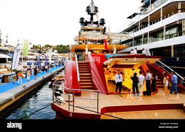 M y leona hi-res stock photography and images