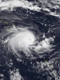 Image result for Linen White 1993 Typhoon