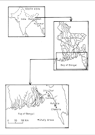 We did not find results for: Main Cyclone Affected Areas In Bangladesh And Field Sites Download Scientific Diagram