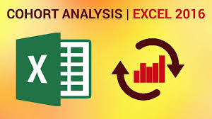 how to perform cohort analysis in excel 2016