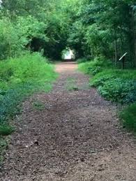9 things to do while in gaffney ideas gaffney house styles affordable hotels pinterest