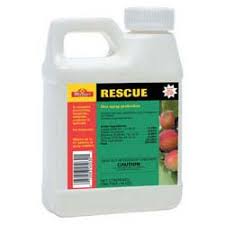Because bonide® fruit tree spray contains a mild insecticide, it should not be used during bloom time. Rescue Concentrate Insecticide Fugicide Aphicide Miticide Spreader Sticker