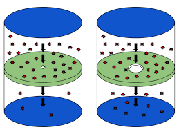 Effusion Wikipedia