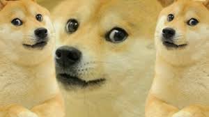 Welcome to 4kwallpaper.wiki here you can find the best doge space wallpapers uploaded by our community. 1 0 8 0 X 1 0 8 0 D O G E D O G Zonealarm Results
