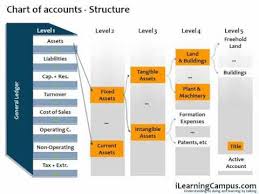Ilearning Campus Chart Of Accounts Financial Accounting Accounting