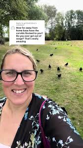 Understanding Corvid Behavior: Establishing Trust and Boundaries