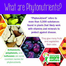 Definition Of Phytonutrients Juice Plus Phytonutrients Isoflavones