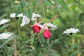 So enjoy your peruvian dinner party and please don't hesitate to leave a comment below either about our menu selections or peruvian meals you have enjoyed or made. Peruvian Dinner Party Best Fusion In The World Compass Fork