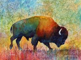 Image result for american buffalo art