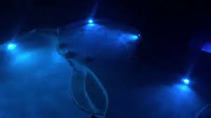 Jandy Led Lighting By Owens Pools Spas Youtube